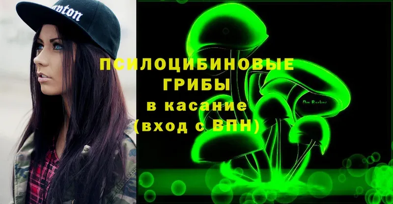 Галлюциногенные грибы Psilocybe  Ливны 